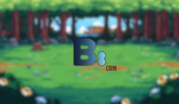 Aperçu du projet BIGroup CLIENT