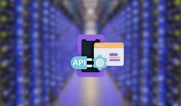 Aperçu du projet WebApp API